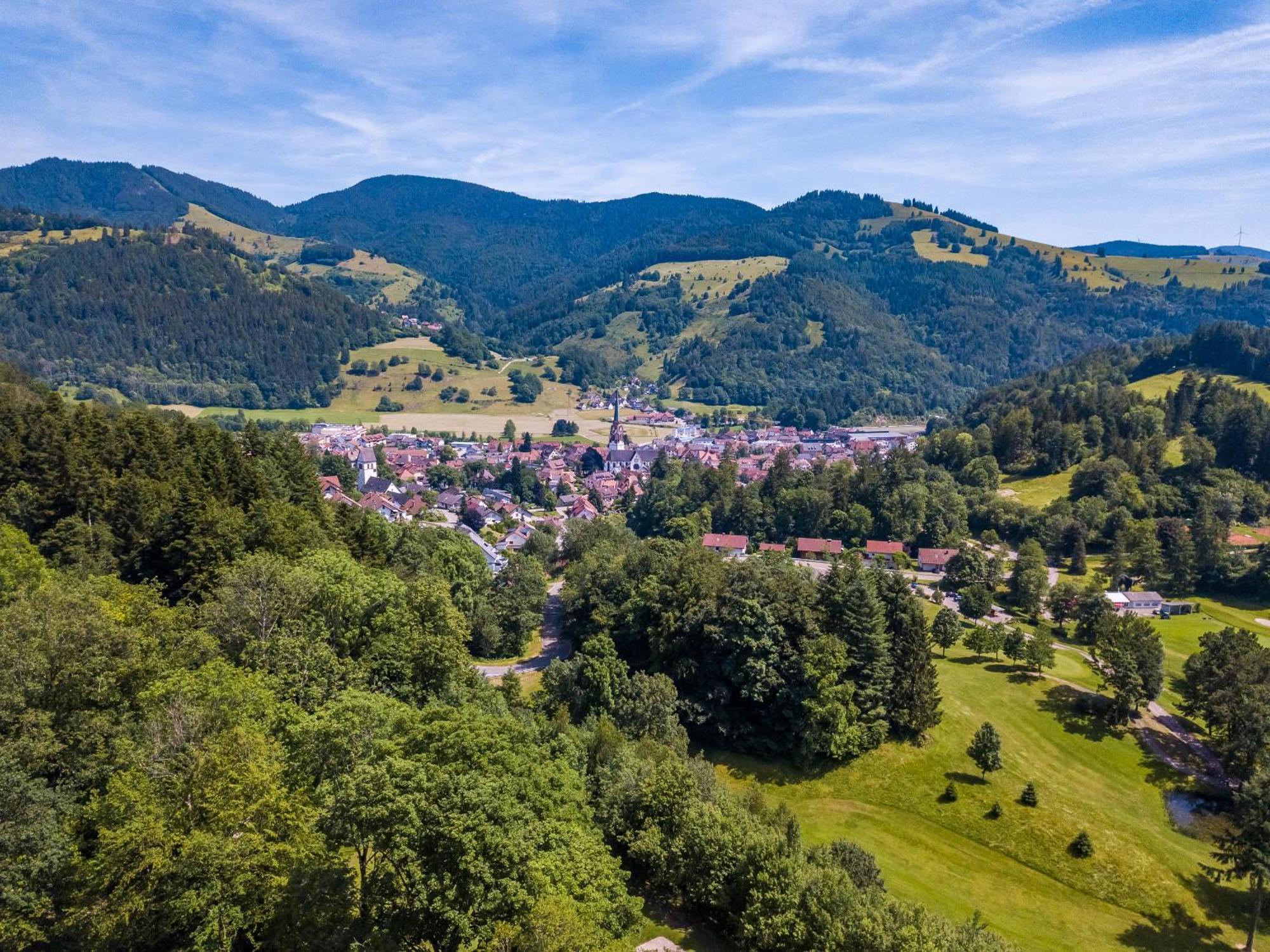 Ferienwohnung Belchenliebe Schonenberg ภายนอก รูปภาพ